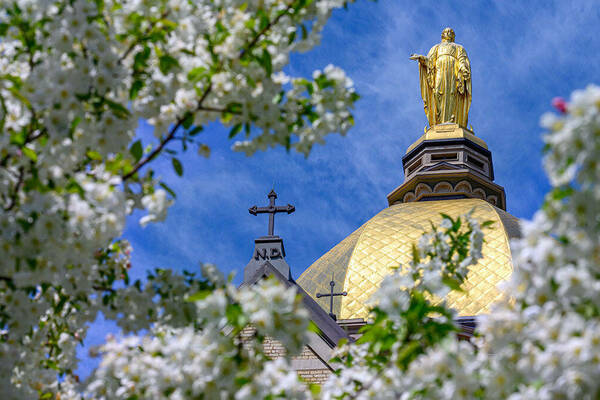 Golden dome in springtime