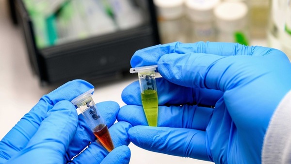 A person's hands holding two samples in a lab.