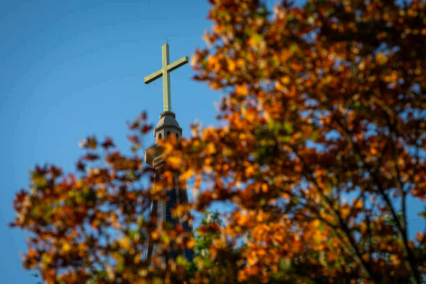 Golden cross on top of the Basilica of the Sacred Heart spire against a clear blue sky, partially framed by vibrant orange and red autumn leaves in the foreground.